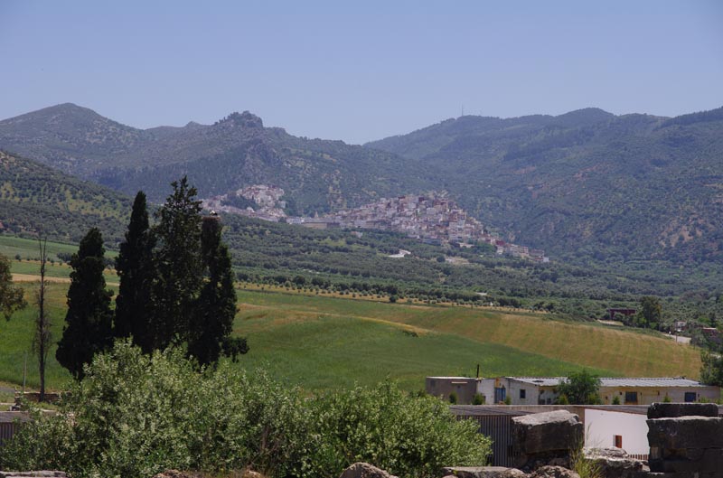 IMGP3095