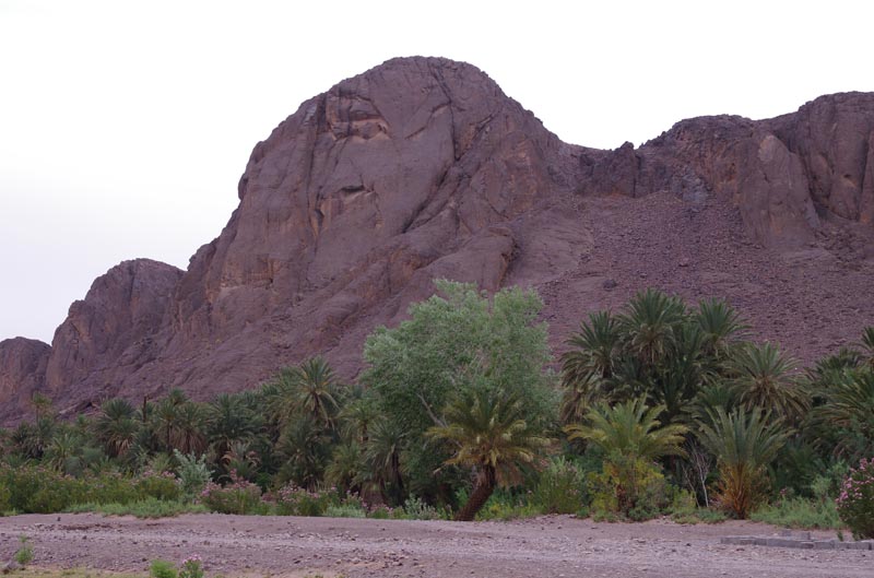 IMGP3239