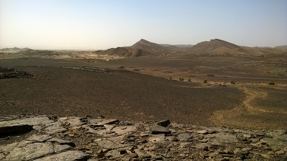 WP_20161014_020