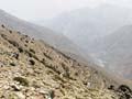 IMG_20230502_125217